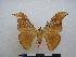  ( - PD-BC-1742)  @13 [ ] Copyright (2010) Unspecified Research Collection of Philippe Darge