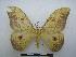  ( - PD-BC-1690)  @14 [ ] Copyright (2010) Unspecified Research Collection of Philippe Darge