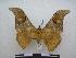  ( - PD-BC-1694)  @14 [ ] Copyright (2010) Unspecified Research Collection of Philippe Darge