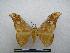  ( - PD-BC-1792)  @14 [ ] Copyright (2010) Unspecified Research Collection of Philippe Darge