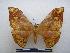  ( - PD-BC-1793)  @14 [ ] Copyright (2010) Unspecified Research Collection of Philippe Darge