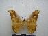  ( - PD-BC-1801)  @13 [ ] Copyright (2010) Unspecified Research Collection of Philippe Darge