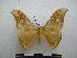  ( - PD-BC-1766)  @13 [ ] Copyright (2010) Unspecified Research Collection of Philippe Darge