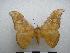  ( - PD-BC-1771)  @13 [ ] Copyright (2010) Unspecified Research Collection of Philippe Darge