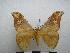  ( - PD-BC-1772)  @14 [ ] Copyright (2010) Unspecified Research Collection of Philippe Darge