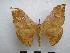  ( - PD-BC-1776)  @13 [ ] Copyright (2010) Unspecified Research Collection of Philippe Darge