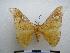  ( - PD-BC-1777)  @13 [ ] Copyright (2010) Unspecified Research Collection of Philippe Darge