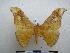  ( - Pd-BC-1780)  @14 [ ] Copyright (2010) Unspecified Research Collection of Philippe Darge
