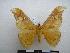  ( - PD-BC-1781)  @13 [ ] Copyright (2010) Unspecified Research Collection of Philippe Darge