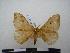  ( - PD-BC-1852)  @13 [ ] Copyright (2010) Unspecified Research Collection of Philippe Darge