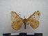  ( - PD-BC-1853)  @12 [ ] Copyright (2010) Unspecified Research Collection of Philippe Darge