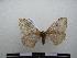  ( - PD-BC-1854)  @12 [ ] Copyright (2010) Unspecified Research Collection of Philippe Darge