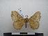  ( - PD-BC-1855)  @12 [ ] Copyright (2010) Unspecified Research Collection of Philippe Darge