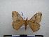  ( - PD-BC-1861)  @12 [ ] Copyright (2010) Unspecified Research Collection of Philippe Darge
