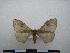  ( - PD-BC-1863)  @12 [ ] Copyright (2010) Unspecified Research Collection of Philippe Darge