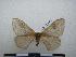  ( - PD-BC-1864)  @12 [ ] Copyright (2010) Unspecified Research Collection of Philippe Darge