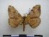  ( - PD-BC-1865)  @14 [ ] Copyright (2010) Unspecified Research Collection of Philippe Darge