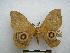  ( - PD-BC-1881)  @14 [ ] Copyright (2010) Unspecified Research Collection of Philippe Darge