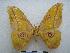  ( - PD-BC-1904)  @14 [ ] Copyright (2010) Unspecified Research Collection of Philippe Darge