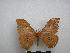  ( - PD-BC-1916)  @14 [ ] Copyright (2010) Unspecified Research Collection of Philippe Darge
