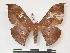  ( - PD-BC 1002)  @13 [ ] Copyright (2010) Unspecified Research Collection of Philippe Darge
