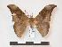 ( - PD-BC 1005)  @13 [ ] Copyright (2010) Unspecified Research Collection of Philippe Darge