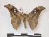  ( - PD-BC 1012)  @14 [ ] Copyright (2010) Unspecified Research Collection of Philippe Darge