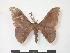  ( - PD-BC 942)  @14 [ ] Copyright (2010) Unspecified Research Collection of Philippe Darge