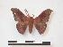  ( - PD-BC 945)  @13 [ ] Copyright (2010) Unspecified Research Collection of Philippe Darge