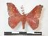  ( - PD-BC 955)  @14 [ ] Copyright (2010) Unspecified Research Collection of Philippe Darge