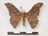  ( - PD-BC 964)  @12 [ ] Copyright (2010) Unspecified Research Collection of Philippe Darge
