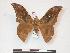 ( - PD-BC 968)  @13 [ ] Copyright (2010) Unspecified Research Collection of Philippe Darge