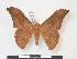 ( - PD-BC 970)  @14 [ ] Copyright (2010) Unspecified Research Collection of Philippe Darge