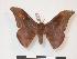  ( - PD-BC 972)  @14 [ ] Copyright (2010) Unspecified Research Collection of Philippe Darge