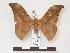  ( - PD-BC 984)  @13 [ ] Copyright (2010) Unspecified Research Collection of Philippe Darge