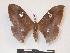  ( - PD-BC 987)  @14 [ ] Copyright (2010) Unspecified Research Collection of Philippe Darge