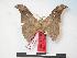  ( - PD-BC 140.1)  @11 [ ] Copyright (2010) Unspecified Research Collection of Philippe Darge