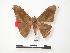  ( - PD-BC 181.1)  @13 [ ] Copyright (2010) Unspecified Research Collection of Philippe Darge
