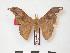  ( - PD-BC 188.1)  @11 [ ] Copyright (2010) Unspecified Research Collection of Philippe Darge