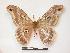  ( - PD-BC 350.1)  @14 [ ] Copyright (2010) Unspecified Research Collection of Philippe Darge