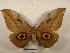  ( - PD-BC 2220)  @14 [ ] Copyright (2010) Unspecified Research Collection of Philippe Darge