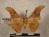  ( - PD-BC 2228)  @11 [ ] Copyright (2010) Unspecified Research Collection of Philippe Darge