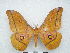  ( - PD-BC 2750)  @14 [ ] Copyright (2010) Unspecified Research Collection of Philippe Darge