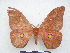  ( - PD-BC 2751)  @14 [ ] Copyright (2010) Unspecified Research Collection of Philippe Darge