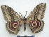  ( - PD-BC 2763)  @12 [ ] Copyright (2010) Unspecified Research Collection of Philippe Darge