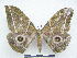 ( - PD-BC 2781)  @13 [ ] Copyright (2010) Unspecified Research Collection of Philippe Darge