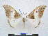  ( - PD-BC 2806)  @13 [ ] Copyright (2010) Unspecified Research Collection of Philippe Darge