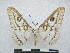  ( - PD-BC 2822)  @14 [ ] Copyright (2010) Unspecified Research Collection of Philippe Darge