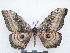  ( - PD-BC 2824)  @13 [ ] Copyright (2010) Unspecified Research Collection of Philippe Darge