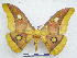  ( - PD-BC 2845)  @14 [ ] Copyright (2010) Unspecified Research Collection of Philippe Darge